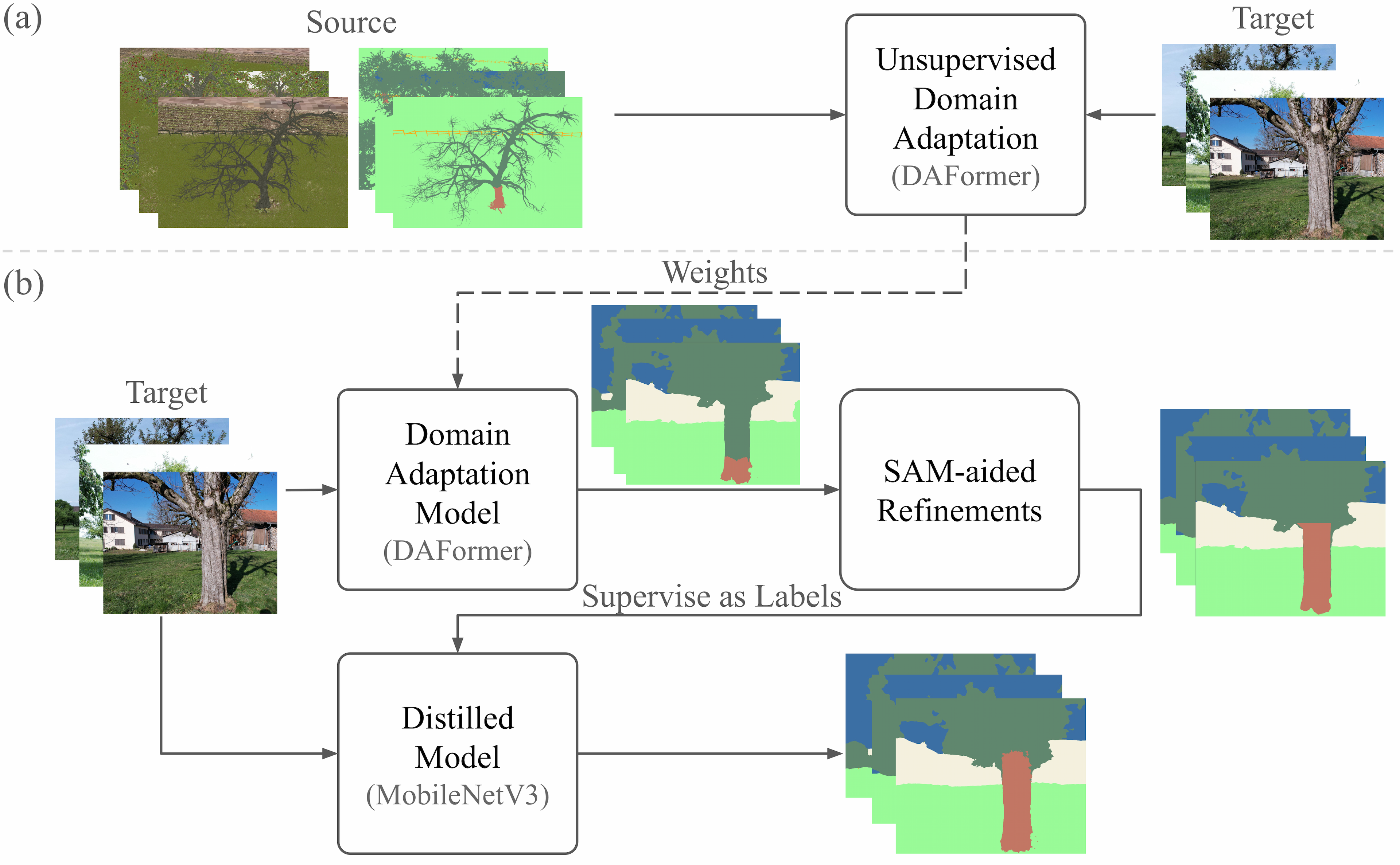 nature_uda_rt_segmentation